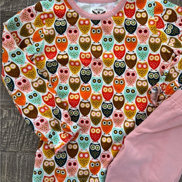 The Oaks Apparel owl matching set 3T - Picture 3 of 8